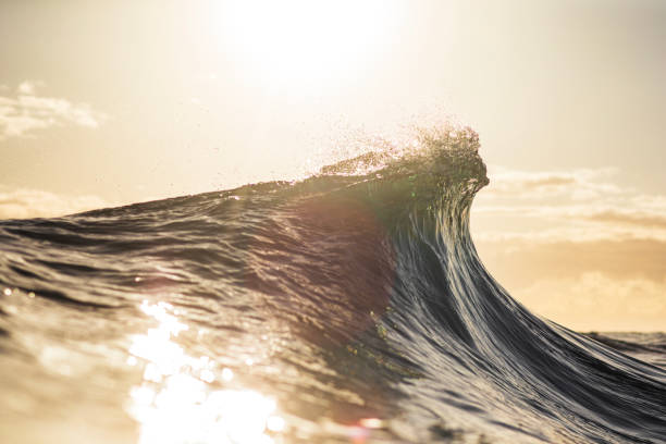 istock Peaking wave breaking in the ocean with warm morning light 1739446560
