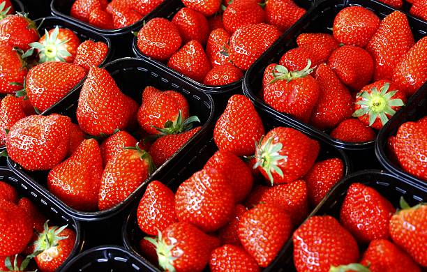 strowberries - chandler strawberry ストックフォトと画像