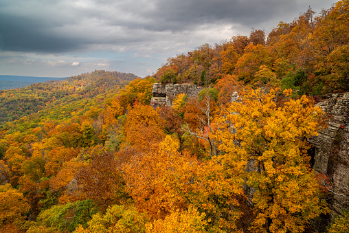 Autumn colors at their peak at White Rock Mountain in the Ozark National Forest of Arkansas.