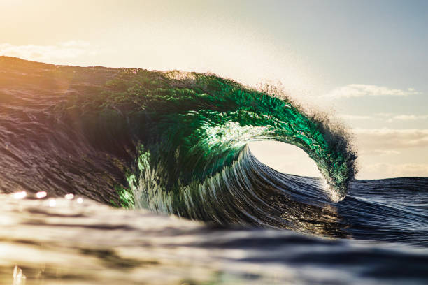 istock Unique emerald green wave breaking in the ocean with warm morning light 1739454161
