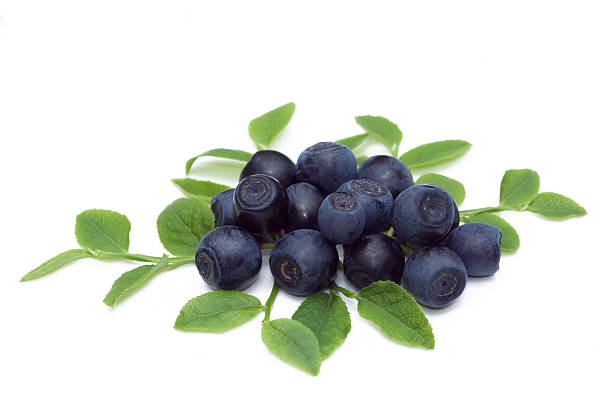 bilberry http://www.avalonstudio.eu/istock/fruits_vagatables2.jpg bilberry fruit stock pictures, royalty-free photos & images