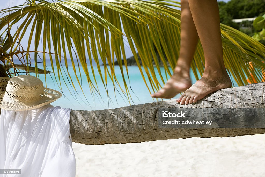 Frau balancierst auf palm tree - Lizenzfrei Baum Stock-Foto