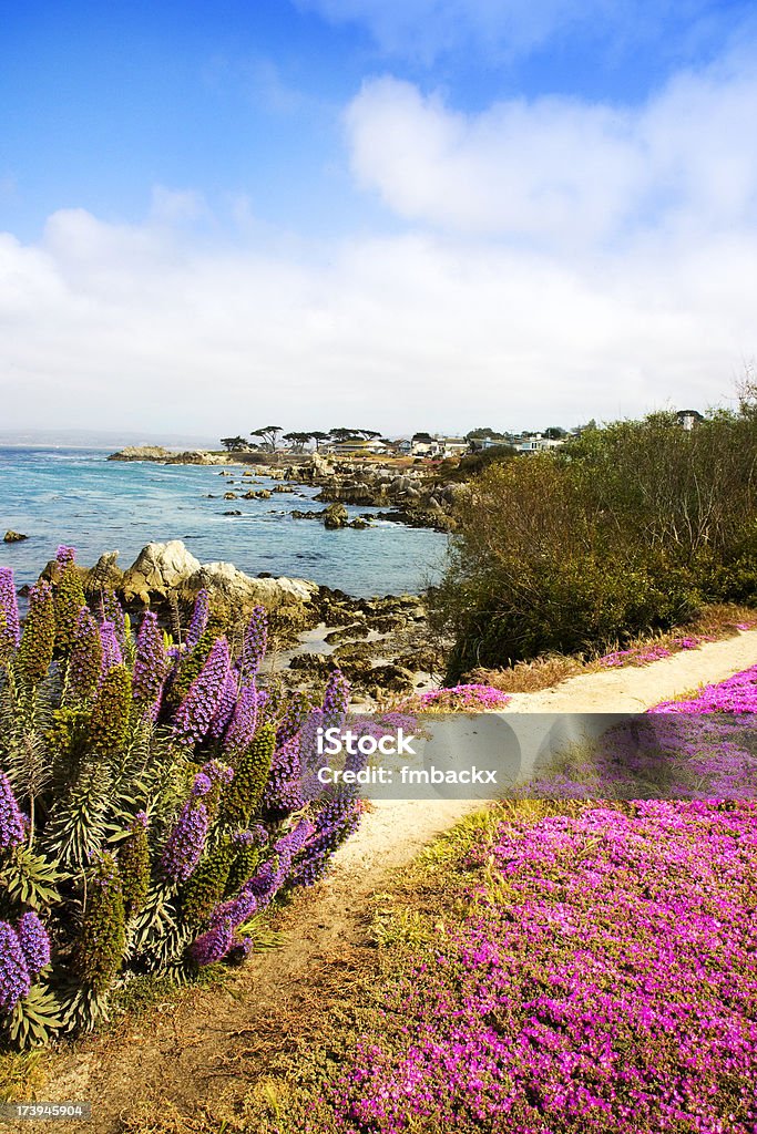 Splendida vista (California - Foto stock royalty-free di 17-Mile Drive