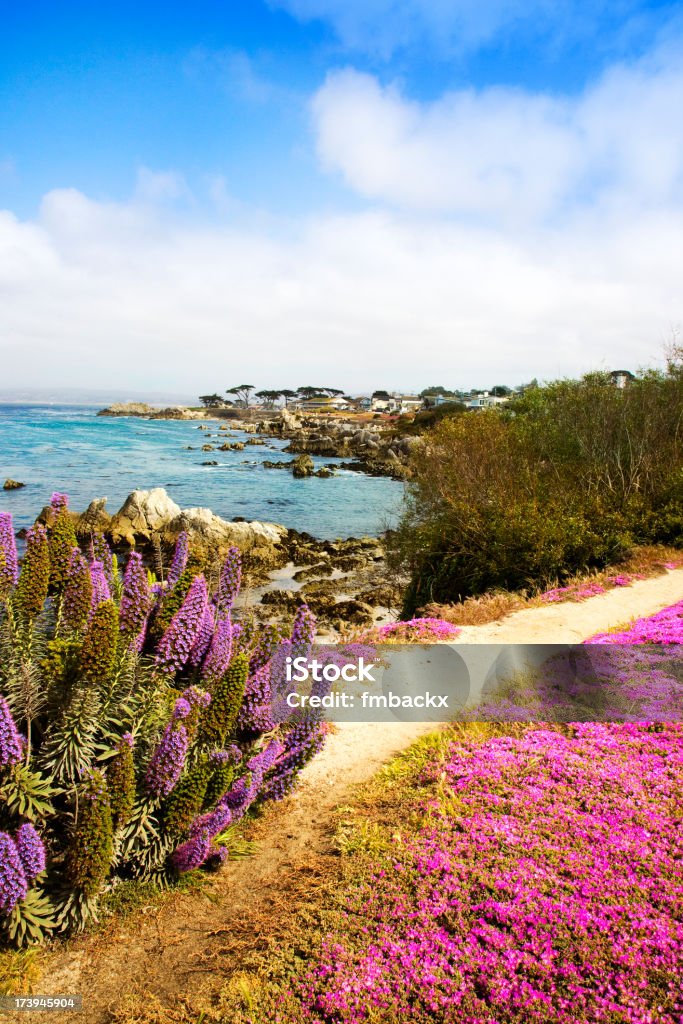 Bela vista (Califórnia - Foto de stock de 17-Mile Drive royalty-free