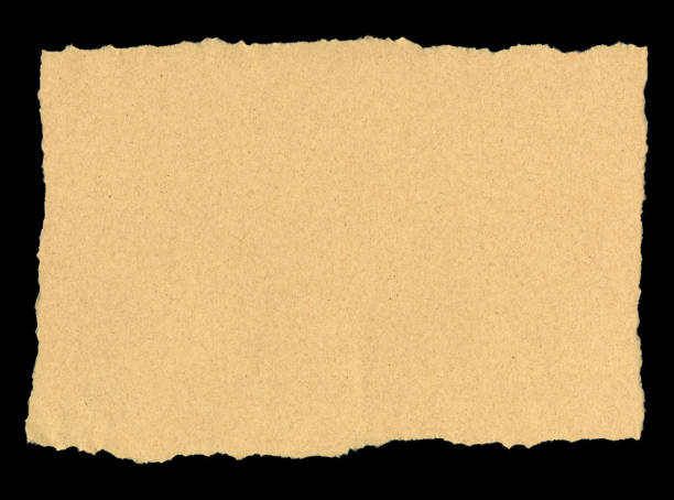 istock Recycled Paper With Ragged Tears on All Sides 173946108