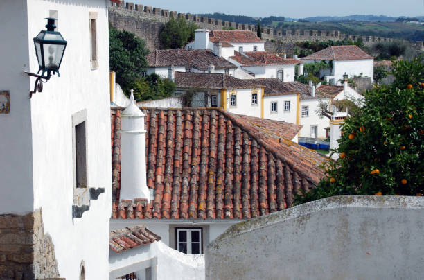 istock Walled town in Portugal 173946305