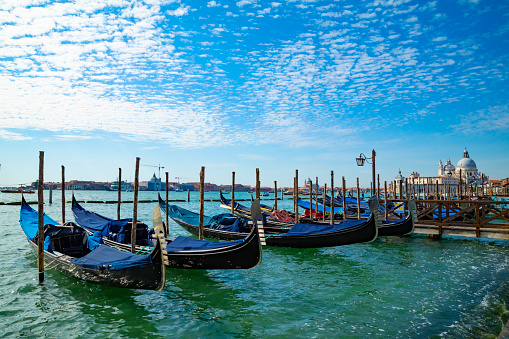 Gondolas in a row are seen parked along the Grand Canal under a sunny blue sky.