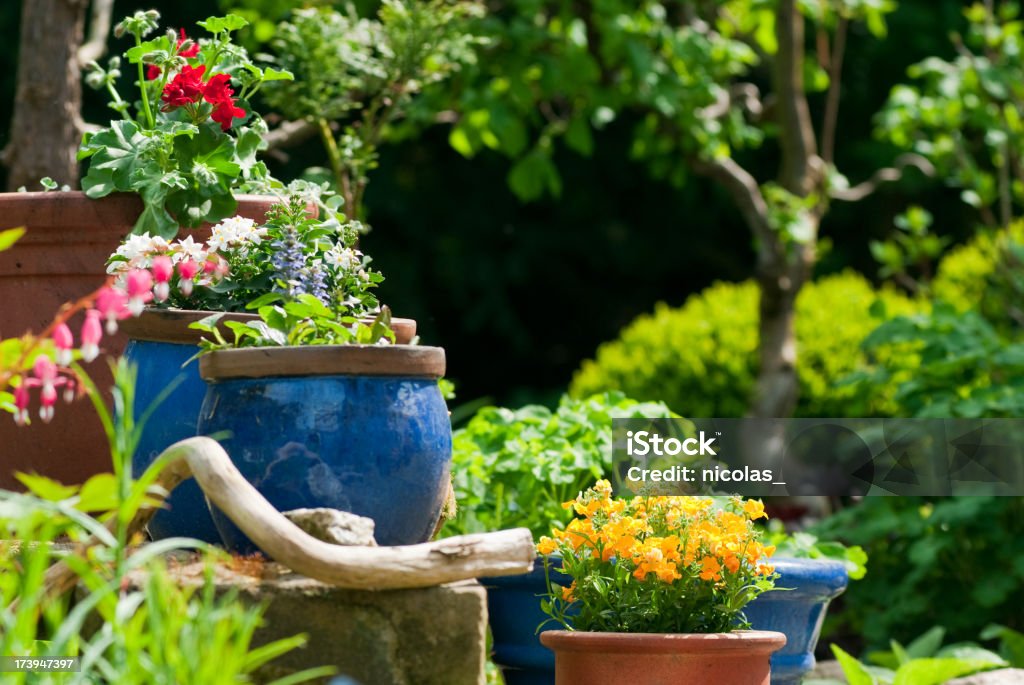 Blühenden Garten - Lizenzfrei Blume Stock-Foto