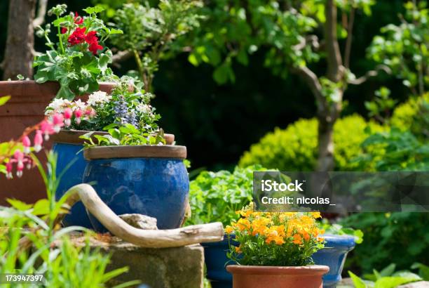 Blühenden Garten Stockfoto und mehr Bilder von Blume - Blume, Blumenbeet, Fotografie