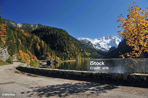 Gosauseereserva Natural Áustria - Fotografias de stock e mais imagens de Abeto - Abeto, Alpes Europeus, Ao Ar Livre