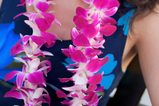 A freshly-made, authentic Hawaiian Lei made of fresh flowers hangs on a woman's neck in Hawaii.