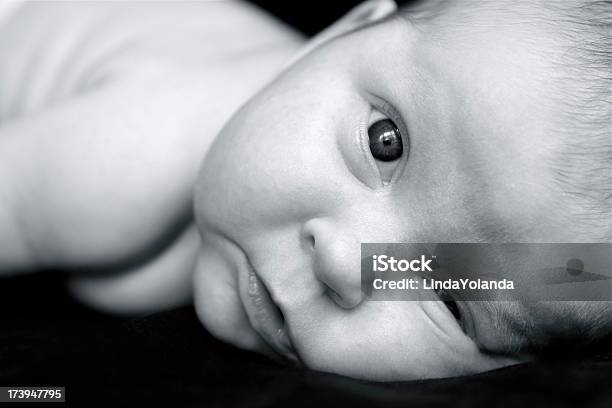 Recién Nacido Baby Foto de stock y más banco de imágenes de 0-1 mes - 0-1 mes, Acostado, Alerta