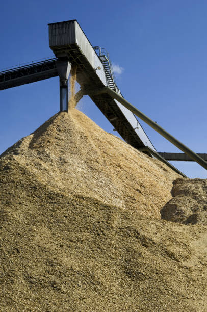 istock Industrial paper mill factory 173947856