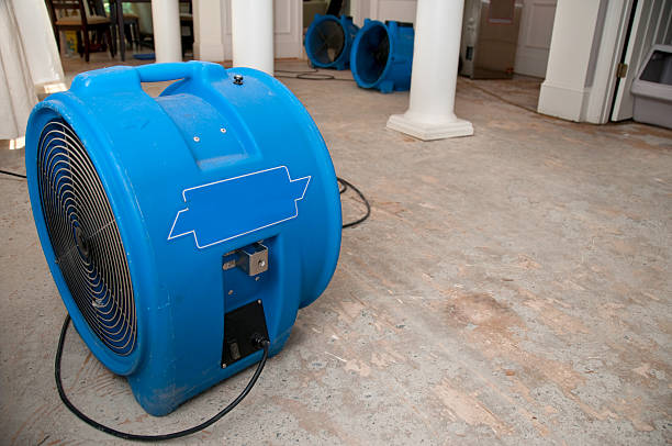 sewage flood home restoration
