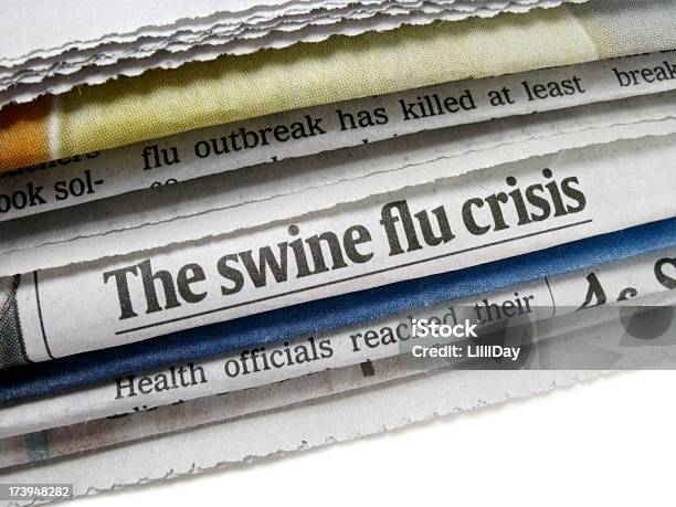 Crisis De La Gripe Porcina Foto de stock y más banco de imágenes de Asistencia sanitaria y medicina - Asistencia sanitaria y medicina, Belleza, Enfermedad