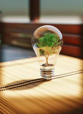 Light bulb with a small tree inside. Concept of thinking about sustainability and coming up with ideas for a better future for the environment.