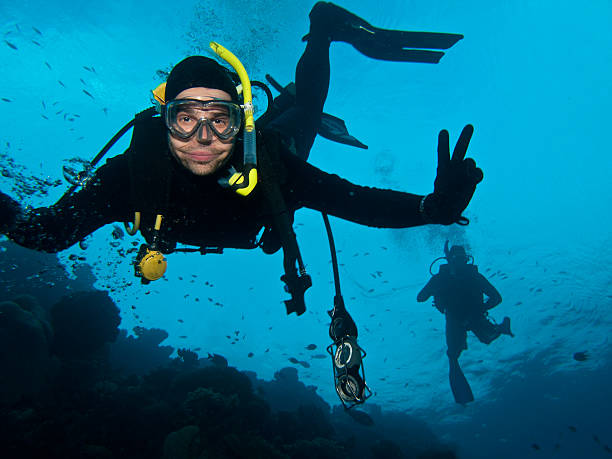 istock Happy man diving in Australia 173948915