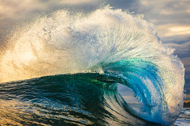 istock Powerful and unique flaring breaking wave in the ocean in warm backlit morning light 1739489309