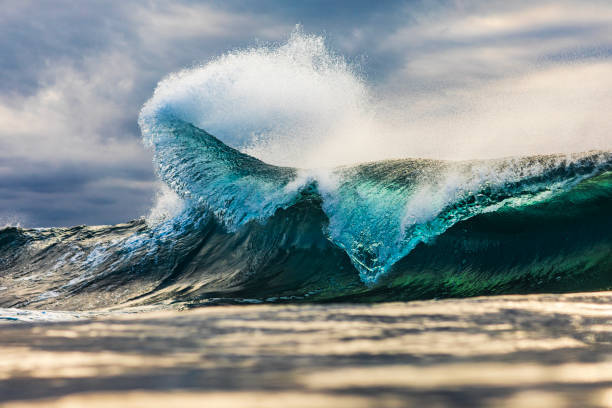 istock Powerful wave standing up in the ocean against a dark stormy sky 1739490406
