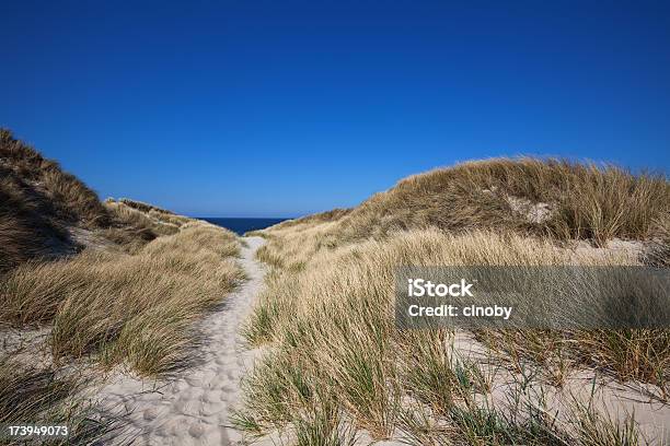 Plaża - zdjęcia stockowe i więcej obrazów American Beachgrass - American Beachgrass, Bez ludzi, Charakterystyka brzegu