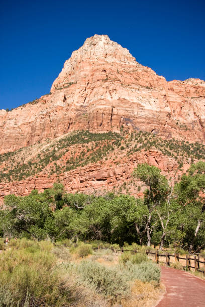 istock Zion national park 173949597