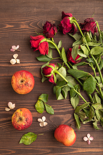 Withered, decaying, roses flowers and apples on brown wooden background. top view, flat lay, close up, still life. Death, depression concept.