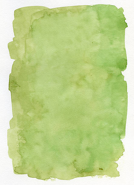istock Olive Green on Watercolour Paper 173949626