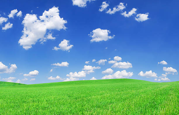 istock Green field and white clouds in the blue sky 173949780