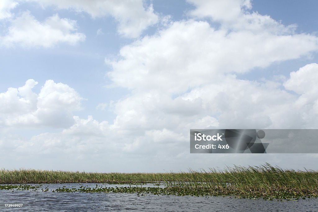 Marsh-Feuchtgebiet mit Wolken und Wasser - Lizenzfrei Bildhintergrund Stock-Foto