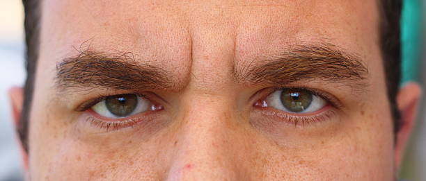 Man with Bushy Eyebrows A close-up of a man showing only his eyes and his bushy eyebrows. bushy stock pictures, royalty-free photos & images
