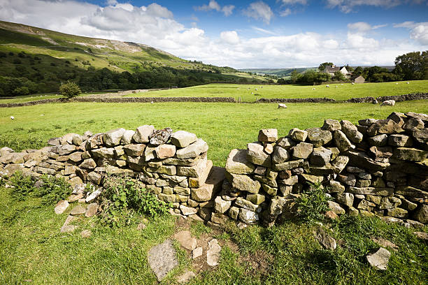 istock Country Scene in Swaledale Yorkshire 173950191