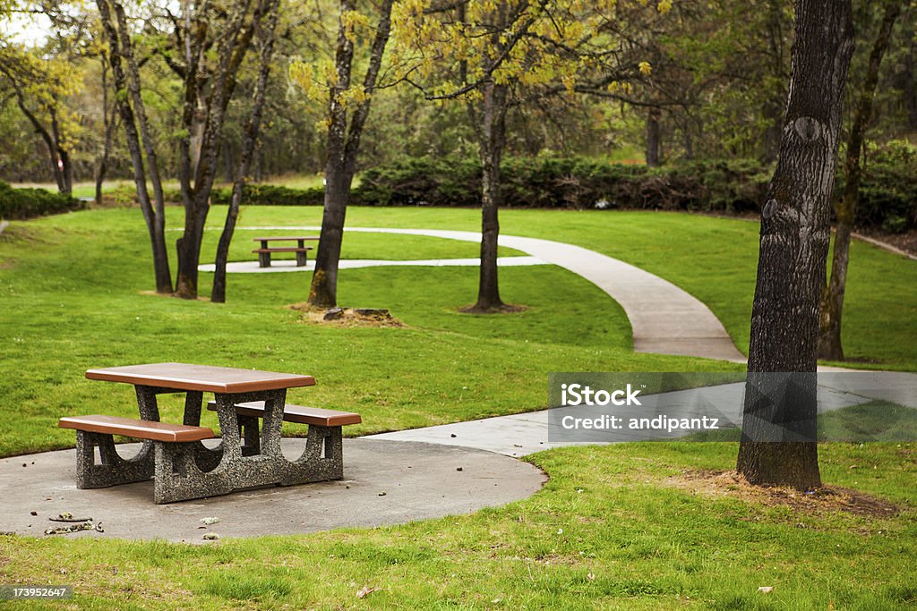 Stół piknikowy na park - Zbiór zdjęć royalty-free (Park publiczny)