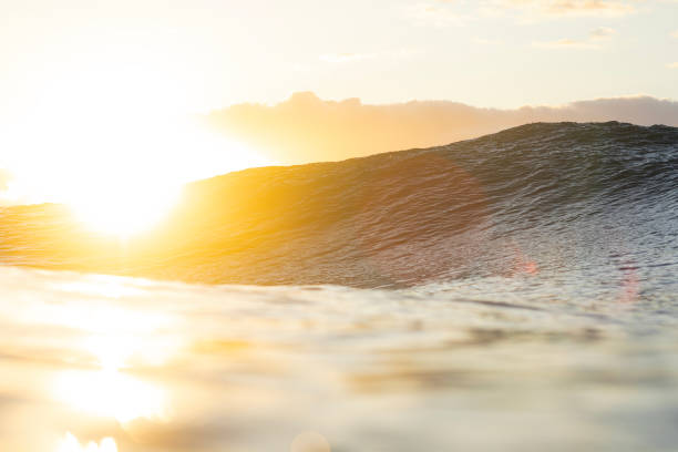 istock Silhouetted wave forming in the ocean with warm back lit morning light 1739530832