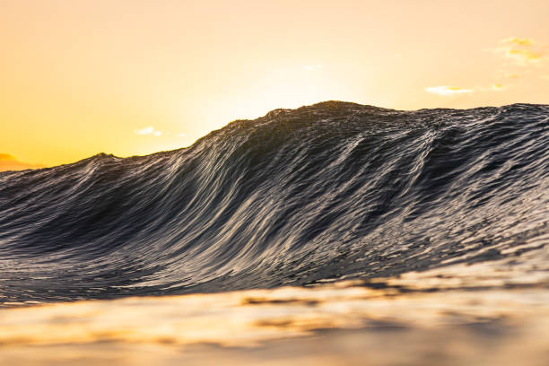 istock Silhouetted wave forming in the ocean with warm back lit morning light 1739530870