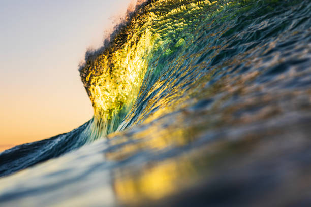 istock Single wave breaking in the ocean with warm morning light 1739530892