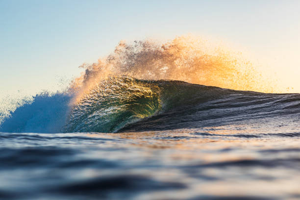 istock Single wave breaking in the ocean with warm morning light 1739530902