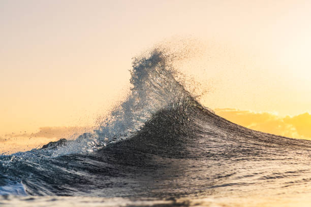 istock Wave forming in the ocean with warm morning light 1739530916