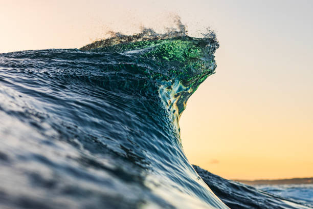 istock Wave forming in the ocean with warm morning light 1739530939
