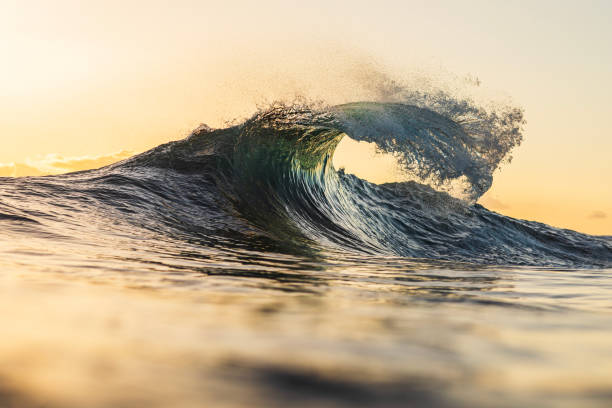 istock Single wave breaking in the ocean with warm morning light 1739530946