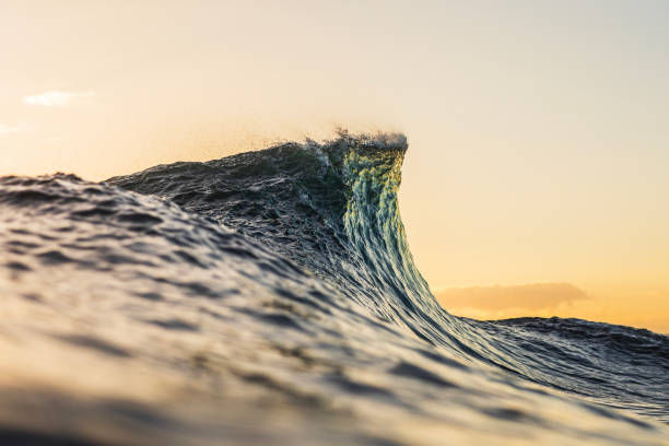 istock Wave forming in the ocean with warm morning light 1739531259