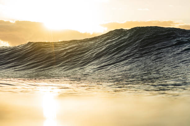 istock Smooth wave forming in the ocean with warm morning sunlight flare 1739531461