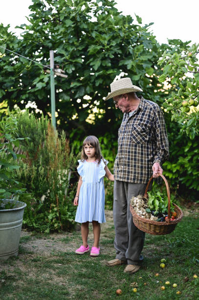 istock growing organic vegetables in a garden. 1739540230