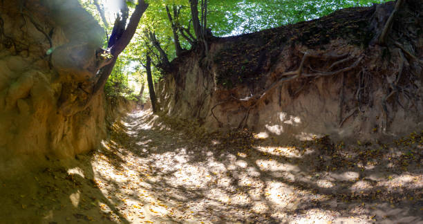 Korzeniowy Dol Gorge - Kazimierz Dolny