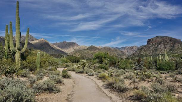 Sabino Canyon Hiking Trail