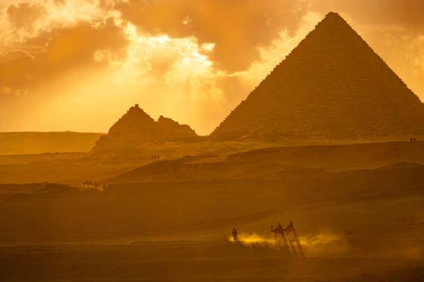 Dense palm groves radiate greenery along the Nile river, framed by a serene desert backdrop during sunset. The vibrant water contrasts beautifully against the arid rocky surroundings, creating an idyllic and serene view.