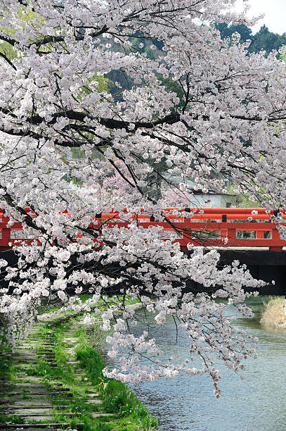 Nakabashi Bridge (Pont Rouge) de Takayama, Japon - Photo