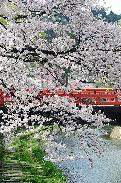 nakabashi red bridge (ponte) de takayama, japão - togetsu kyo bridge - fotografias e filmes do acervo