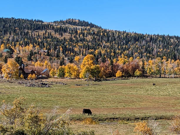 istock Kolob Mountain Pastures in Autumn 1739601736