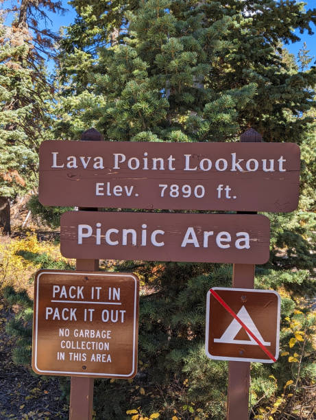 istock Lava Point Road Zion National Park Utah 1739603370