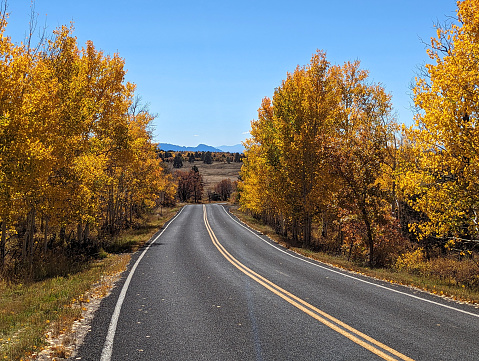 Autumn colors along Kolob Terrace Road in Zion National Park Utah in mid-October 2023
